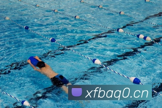 星空体育综合app下载官网平台生态图